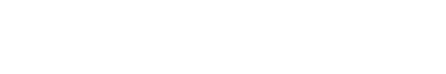 Primary Logo — White