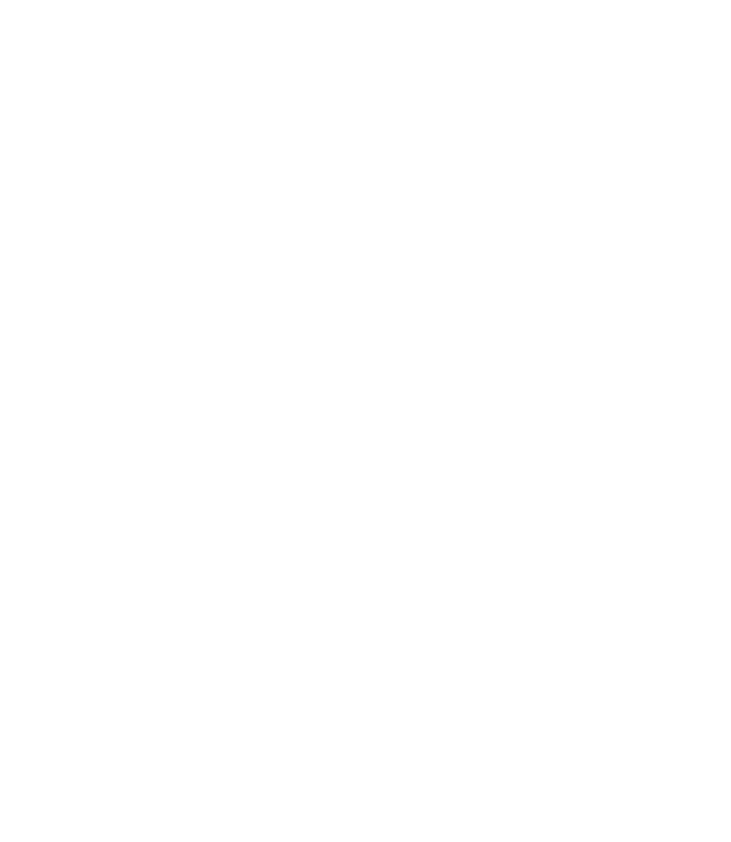 Secondary Logo — White